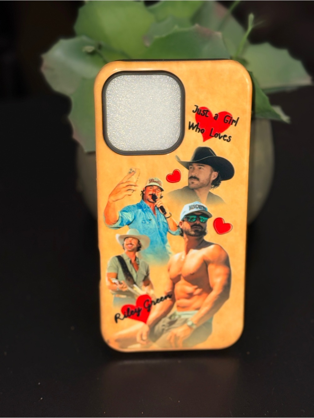 2 in 1 Riley Green - Country Music Inspired iPhone 16‎ Pro Max Phone Case